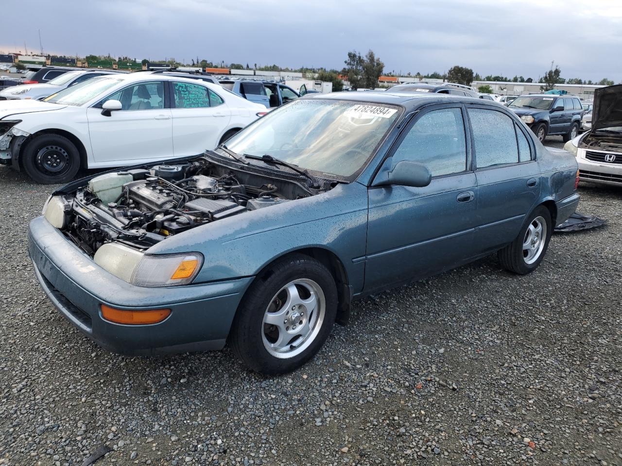 1NXAE00B6SZ316663 1995 Toyota Corolla Le