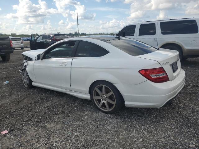 2013 Mercedes-Benz C 250 VIN: WDDGJ4HB6DF954317 Lot: 45891704