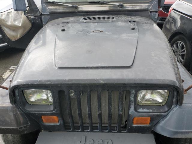 1994 Jeep Wrangler / Yj S VIN: 1J4FY19P8RP456156 Lot: 45008514