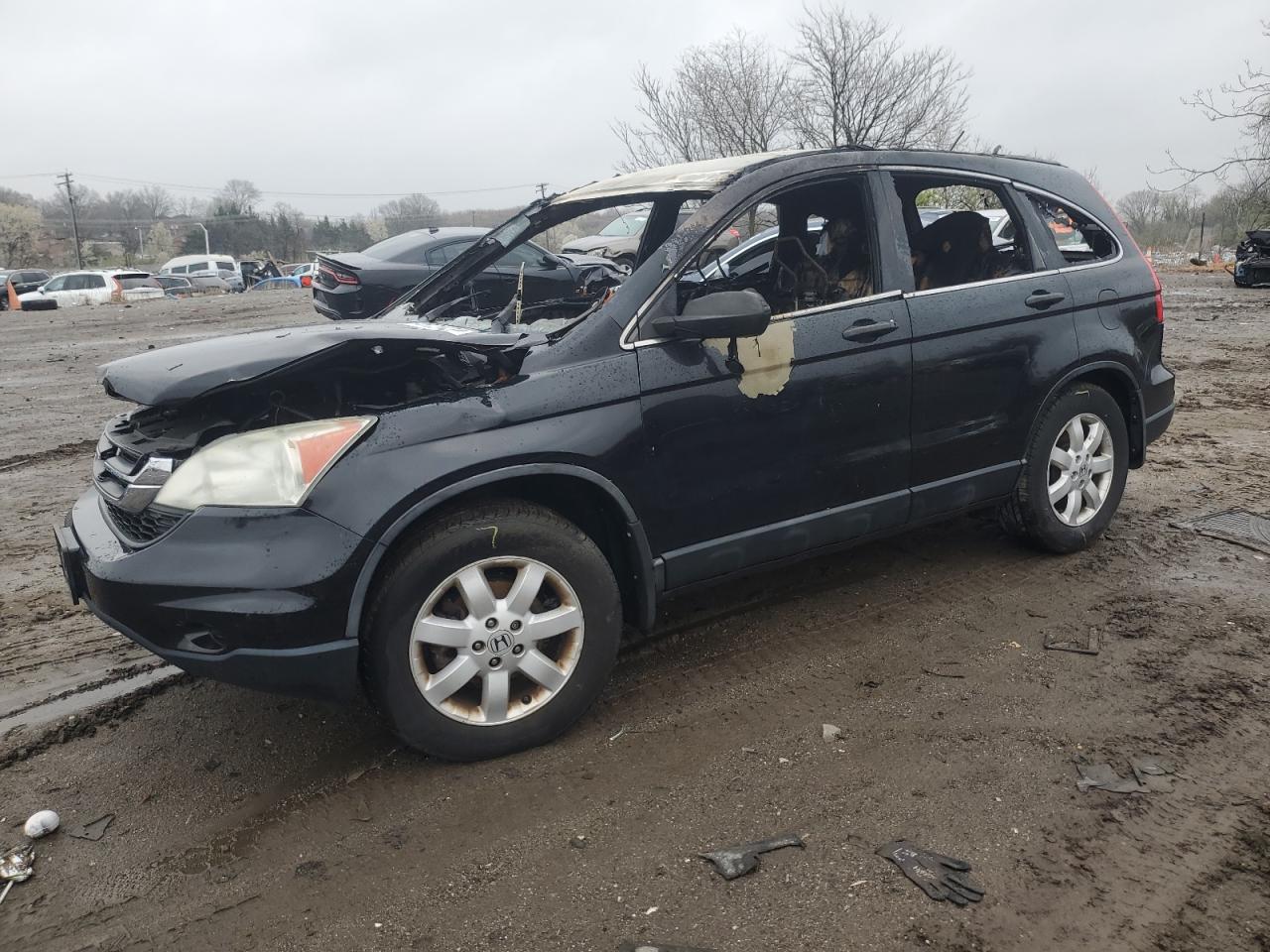 5J6RE4H43BL018589 2011 Honda Cr-V Se