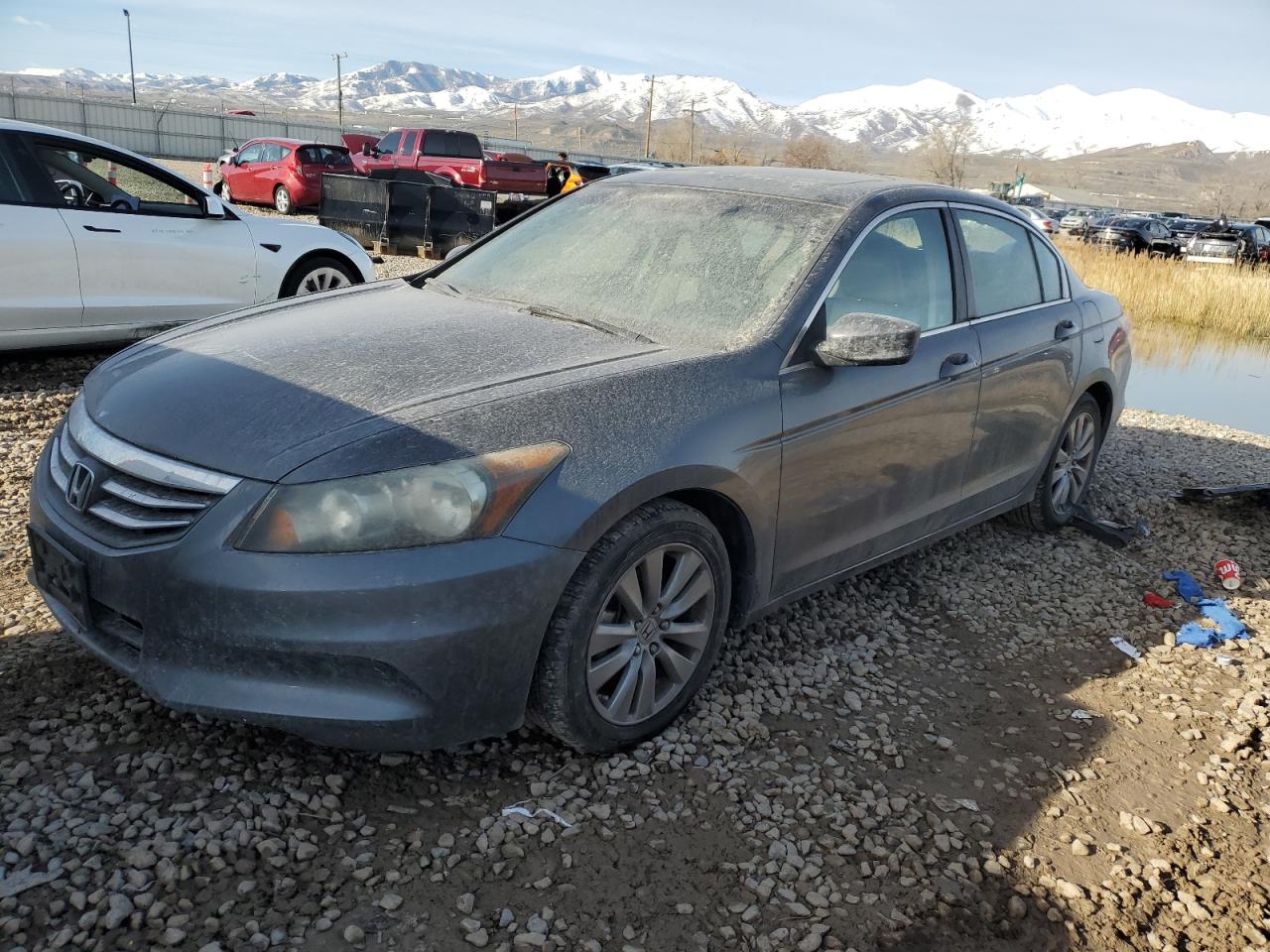 1HGCP2F88BA101206 2011 Honda Accord Exl