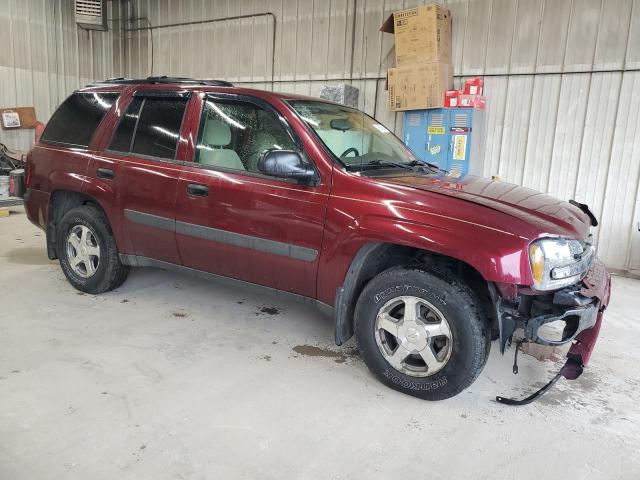 2005 Chevrolet Trailblazer Ls VIN: 1GNDT13SX52185107 Lot: 48685674