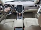 CADILLAC SRX LUXURY photo