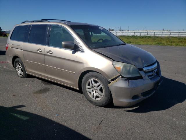 2005 Honda Odyssey Exl VIN: 5FNRL38655B042150 Lot: 46811244