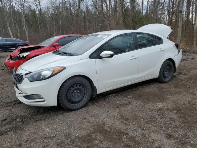 2014 Kia Forte Lx VIN: KNAFX4A66E5252147 Lot: 47030484