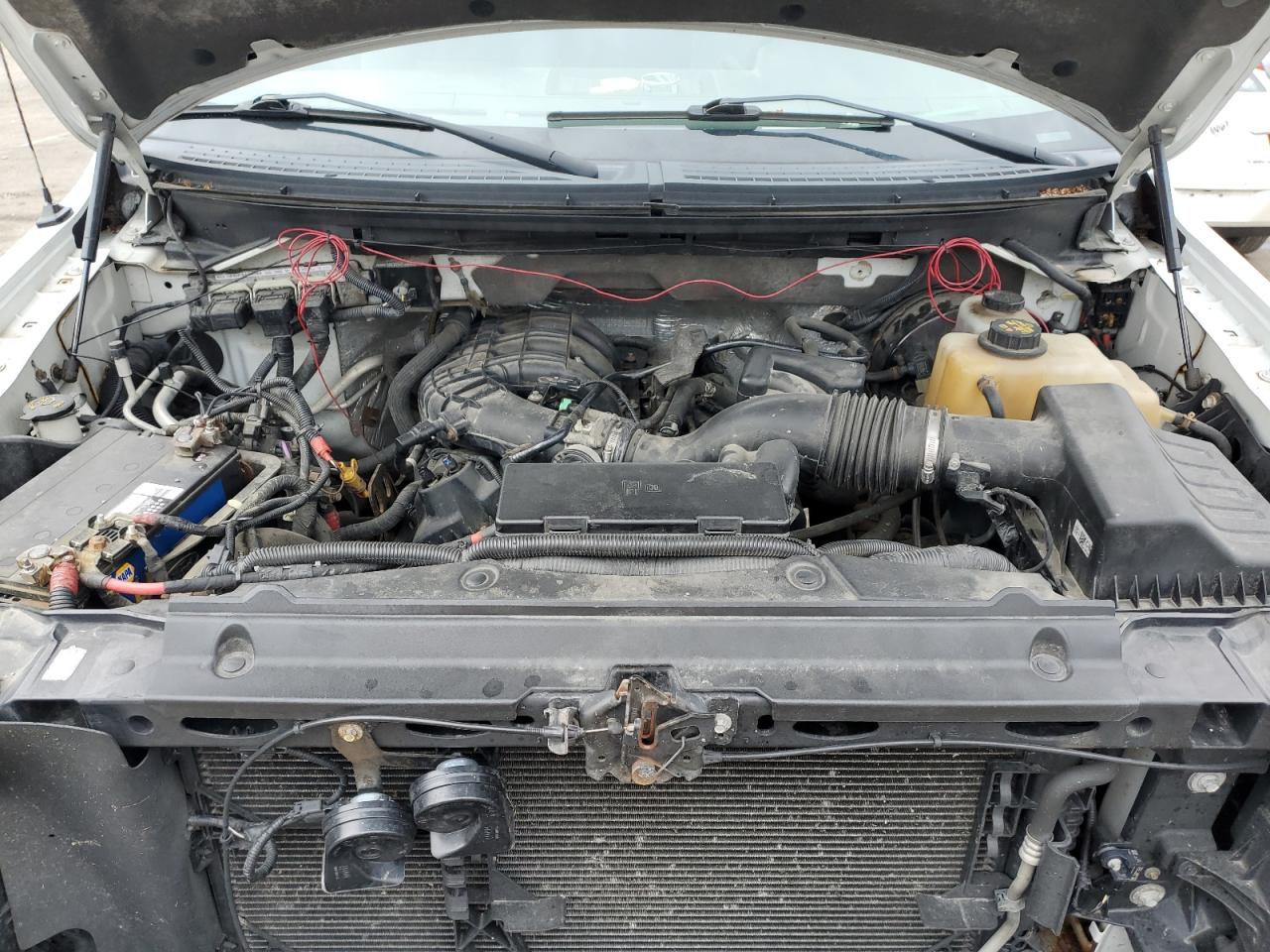 1FTMF1CM7DKD55911 2013 Ford F150