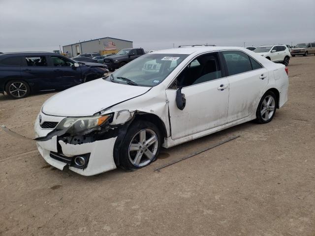 Lot #2508393930 2013 TOYOTA CAMRY L salvage car