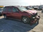 Lot #3028420219 2006 CHEVROLET TRAILBLAZE