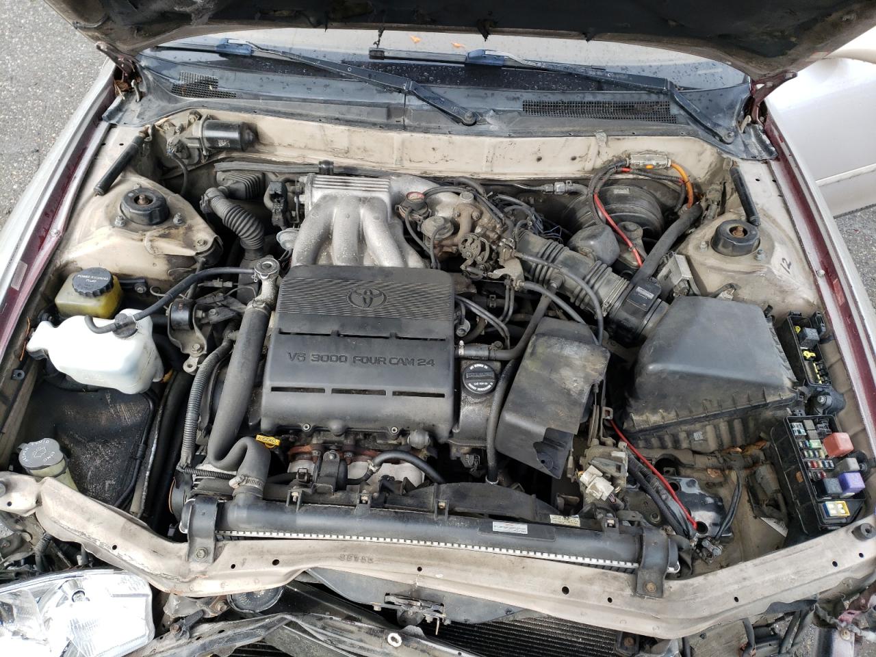 4T1GK13E8RU025896 1994 Toyota Camry Xle