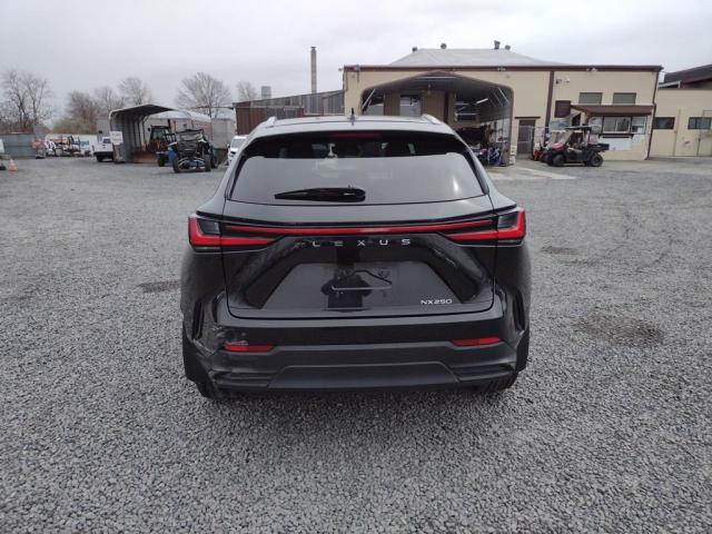 2022 LEXUS NX 250 JTJADCAZ6N2001315