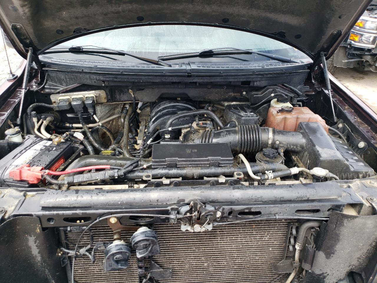 1FTEW1E82AFB40364 2010 Ford F150 Supercrew