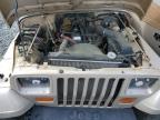 Lot #3027136807 1995 JEEP WRANGLER /