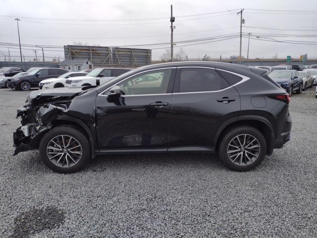2022 LEXUS NX 250 JTJADCAZ6N2001315