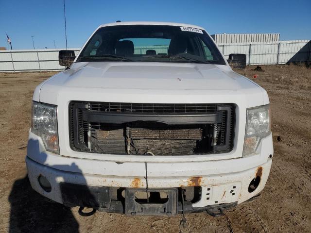 2013 Ford F150 Super Cab VIN: 1FTFX1EF4DFE05998 Lot: 46872574