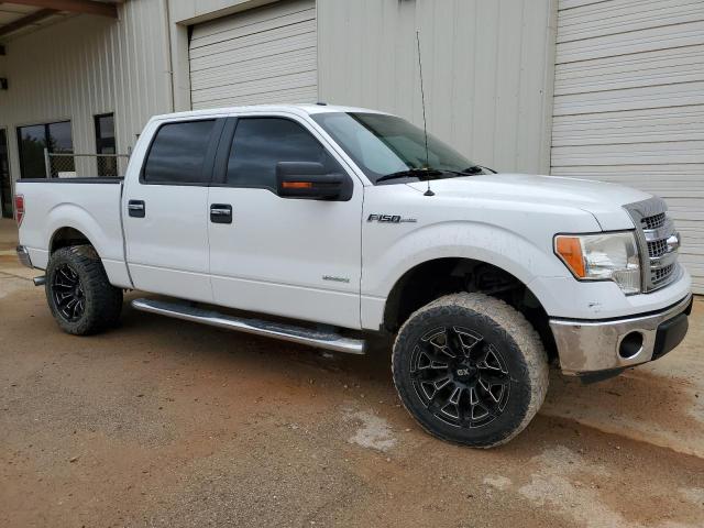 1FTFW1CTXDKF63622 2013 FORD F-150-3