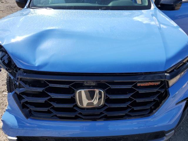 2024 HONDA PILOT TRAI 5FNYG1H64RB012521