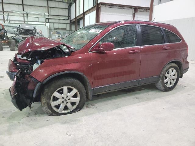 2009 Honda Cr-V Exl VIN: 5J6RE487X9L063274 Lot: 45870784