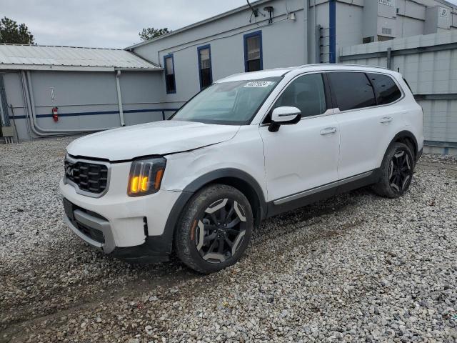 2024 Kia Telluride S VIN: 5XYP64GC7RG442771 Lot: 48379524