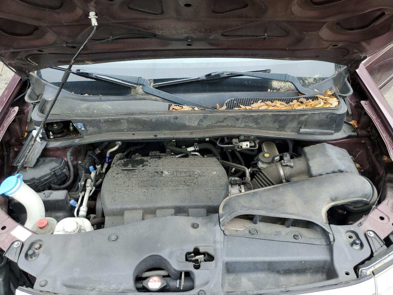 5FNYF3H59DB044041 2013 Honda Pilot Exl