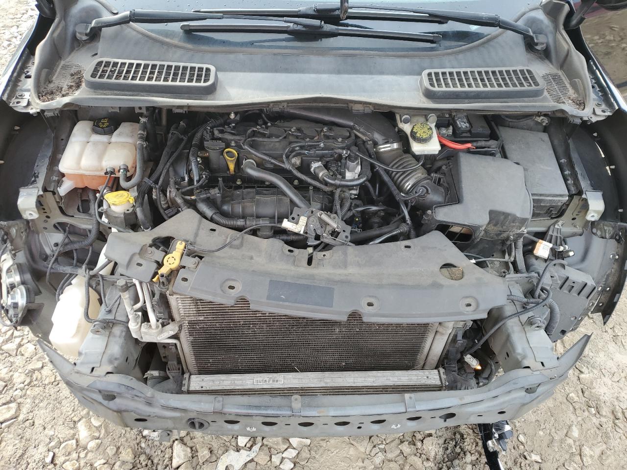 1FMCU0GX3EUB33769 2014 Ford Escape Se