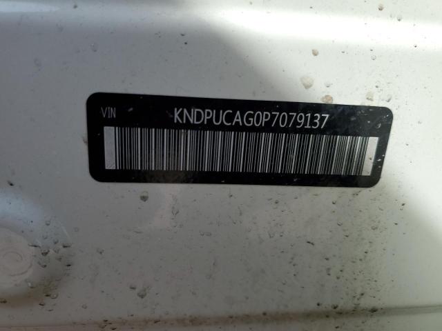 KNDPUCAG0P7079137 Kia Sportage L 12