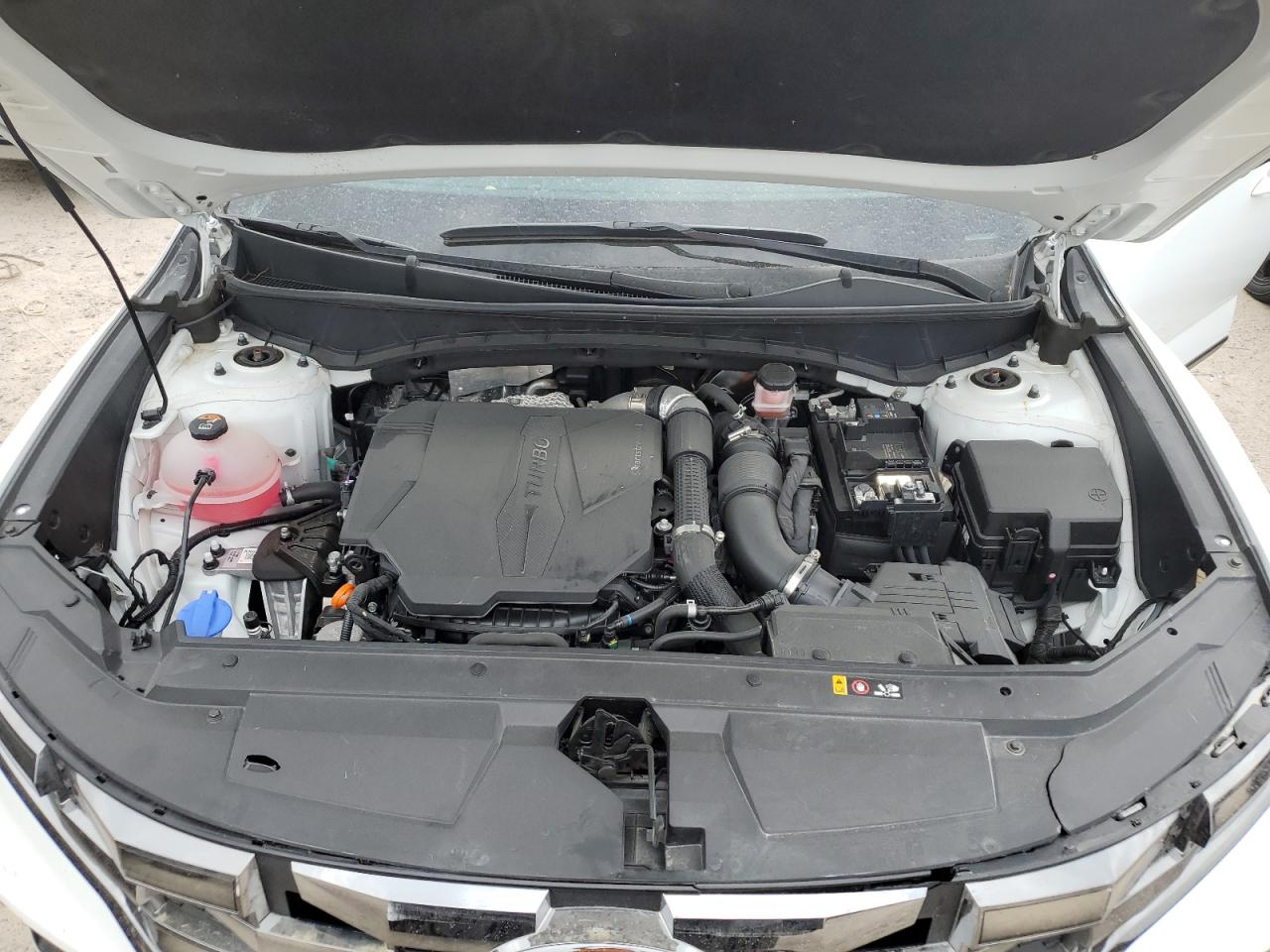 5ntjedaf5nh017842 5NTJEDAF5NH017842 2022 Hyundai Santa Cruz Limited
