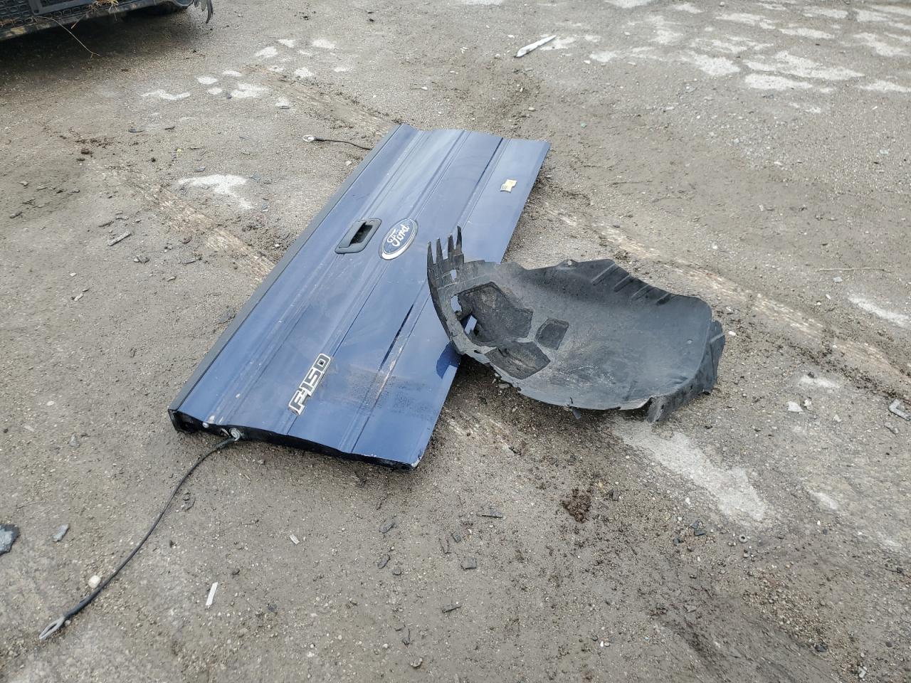 1FTRF12W59KC91531 2009 Ford F150