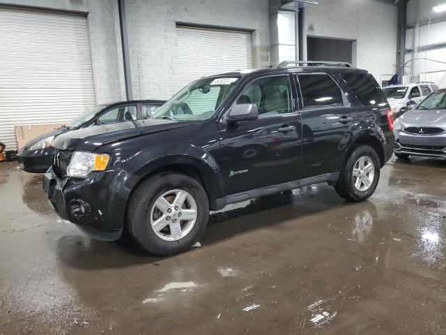 Lot #2441047191 2011 FORD ESCAPE HYB salvage car