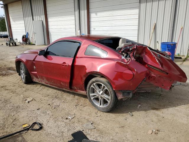 2014 Ford Mustang VIN: 1ZVBP8AM0E5304554 Lot: 47623734