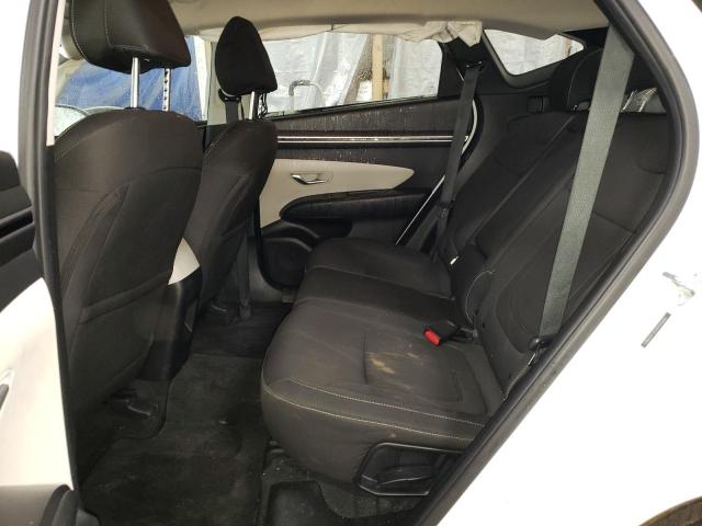 2023 HYUNDAI TUCSON SE - 5NMJACAE5PH235680