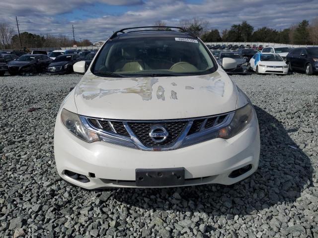 2013 NISSAN MURANO - JN8AZ1MU5DW209562