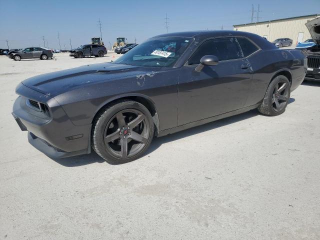 Vin: 2c3cdybt5dh541882, lot: 49187415, dodge challenger r/t 2013 img_1