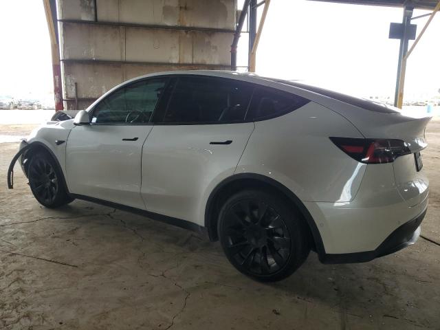 2021 TESLA MODEL Y - 5YJYGDEE6MF075819