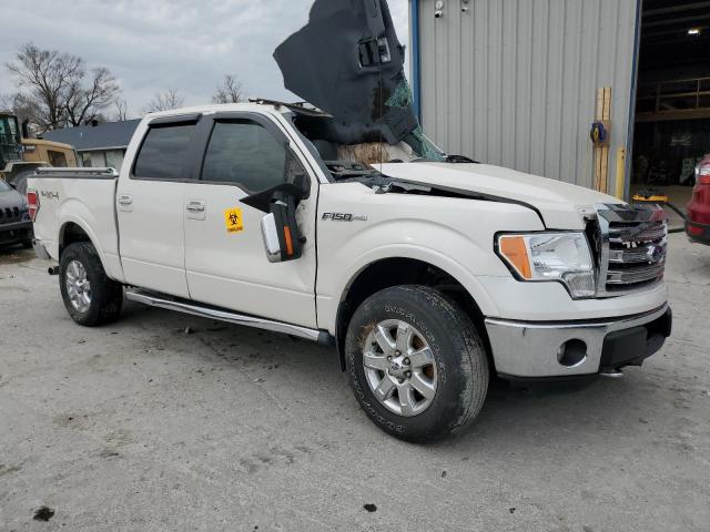 Vin: 1ftfw1ef0efb56636, lot: 49038525, ford f-150 supercrew 20144