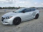 2017 NISSAN MAXIMA 3.5 - 1N4AA6AP0HC370235