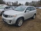 Top Destinations for Shipping Cars from the USA