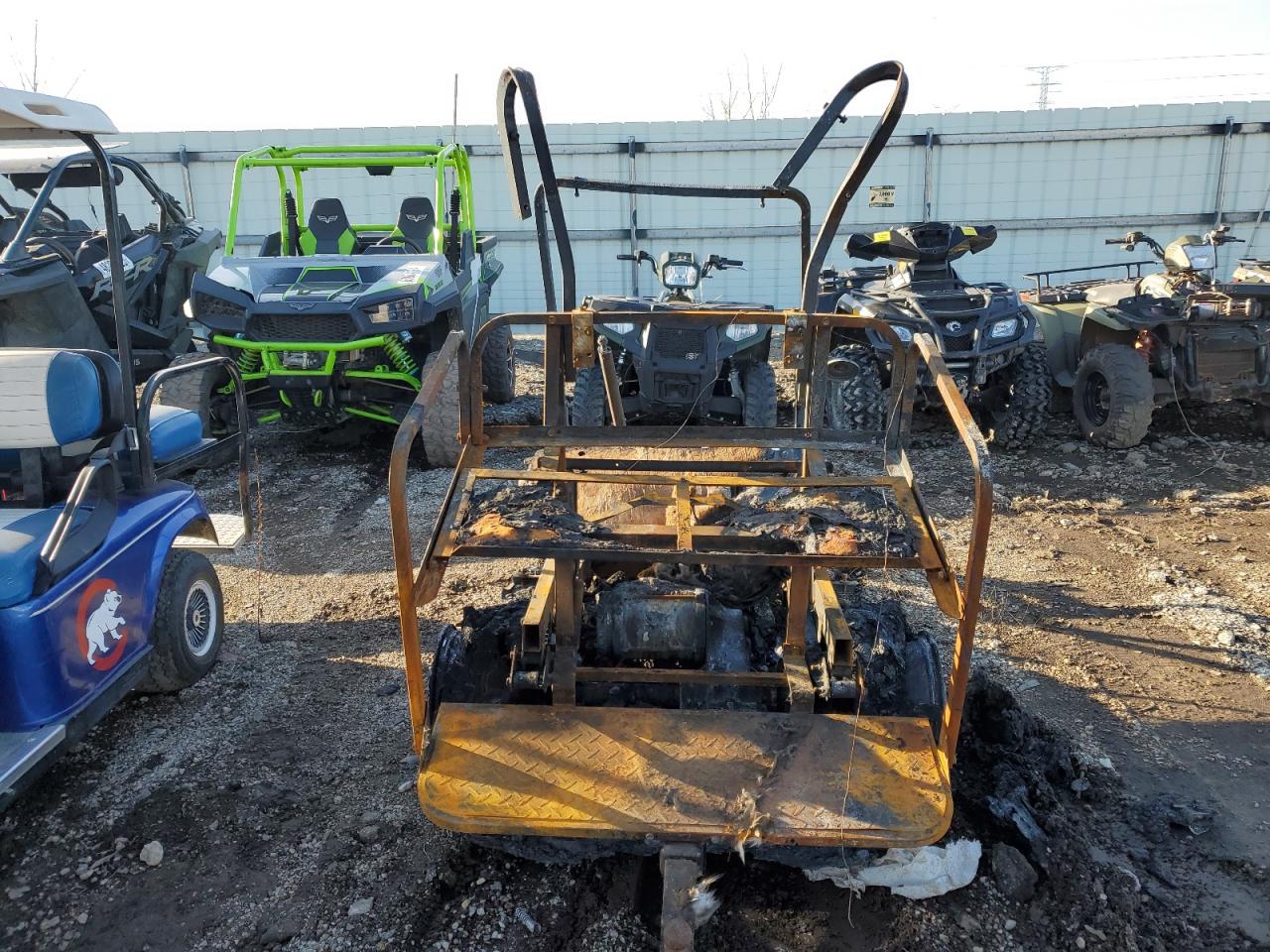 Lot #3178672519 2009 OTHER GOLF CART