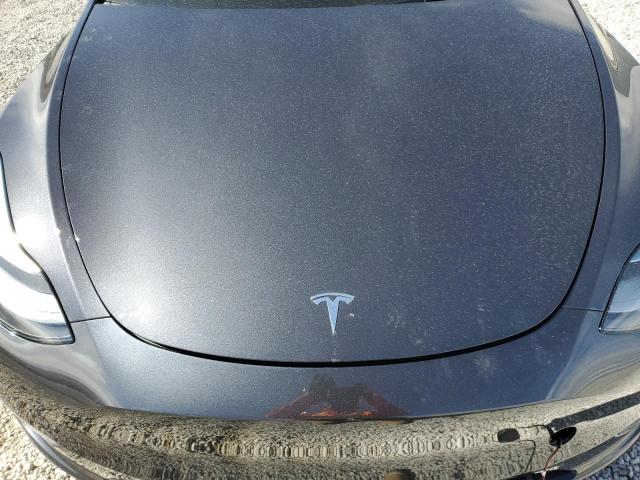 2024 TESLA MODEL Y - 7SAYGDEF6RF166365