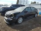 Top Destinations for Shipping Cars from the USA