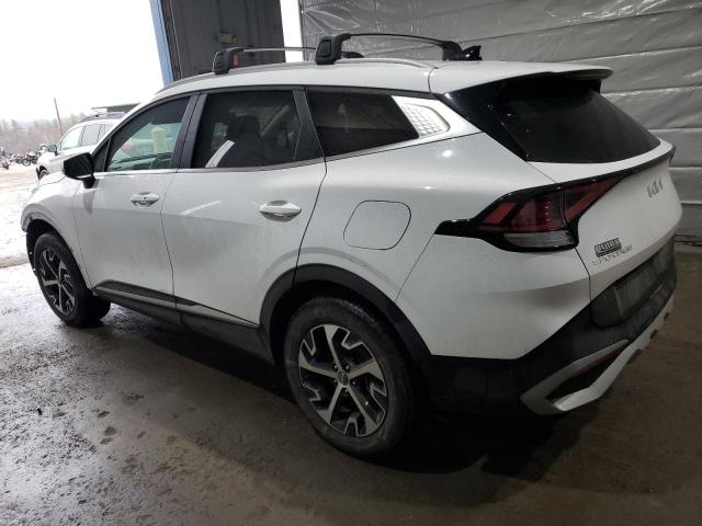 Vin: 5xyk3cdf8rg152843, lot: 49462705, kia sportage ex 20242