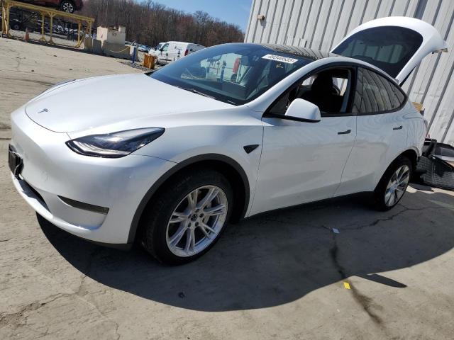 Vin: 7saygdee0pa069003, lot: 49340535, tesla model y 2023 img_1