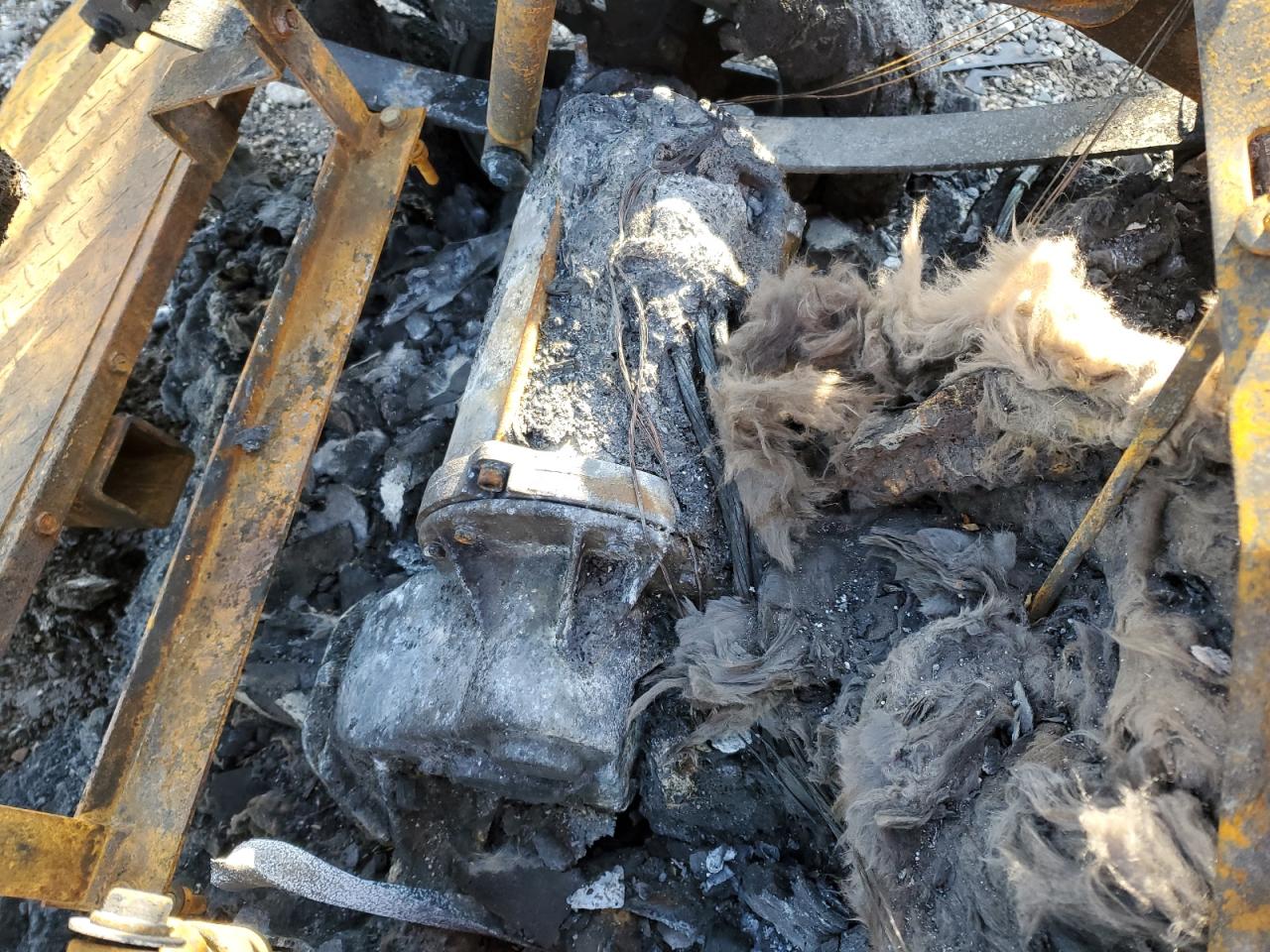 Lot #3178672519 2009 OTHER GOLF CART