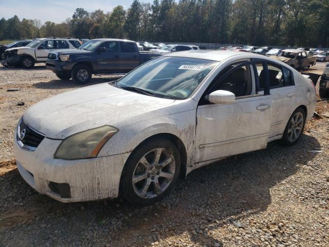NISSAN MAXIMA SE