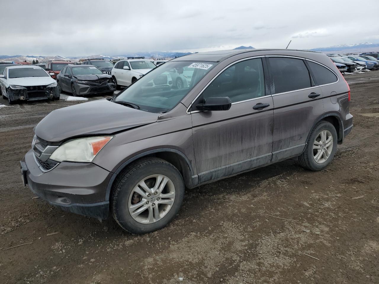 HONDA CR-V EX