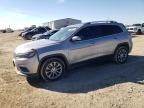 2019 JEEP CHEROKEE L - 1C4PJLLB1KD165030