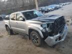 Lot #3317944916 2023 TOYOTA TACOMA DOU