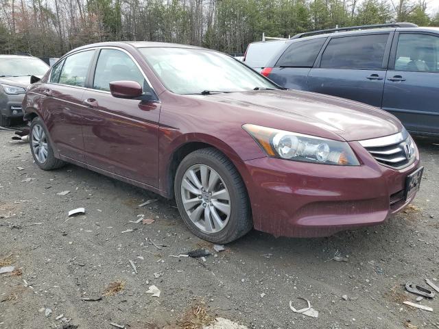 Vin: 1hgcp2f87ca206451, lot: 49064595, honda accord exl 20124