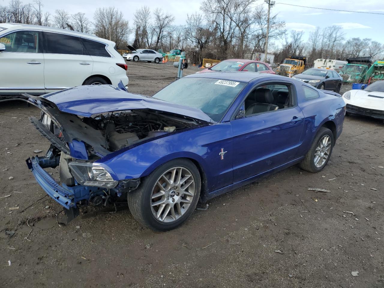 FORD MUSTANG