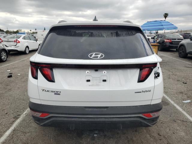 2024 HYUNDAI TUCSON BLU KM8JBCD14RU228460