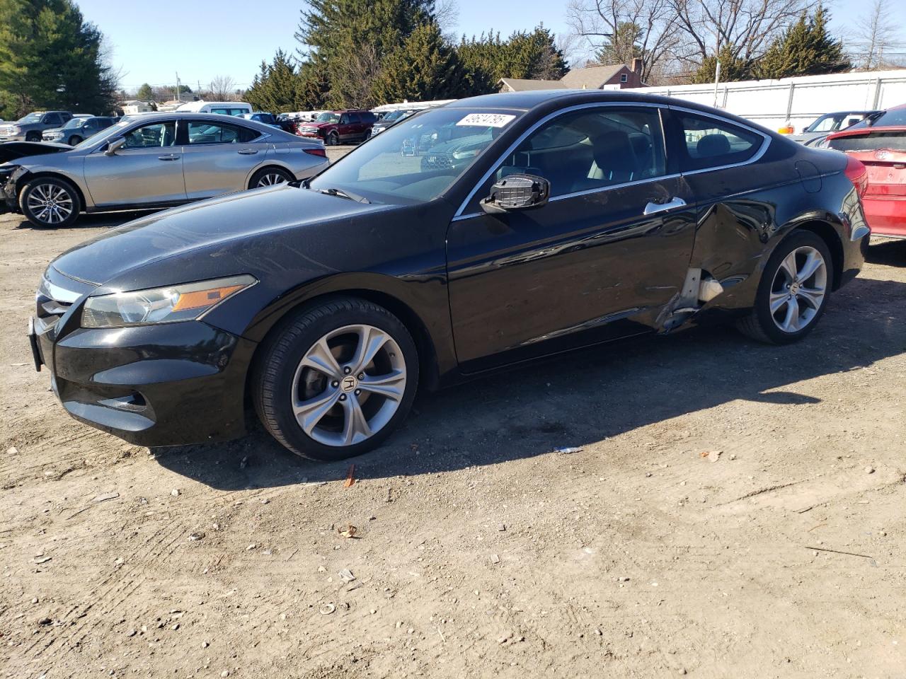 HONDA ACCORD EXL